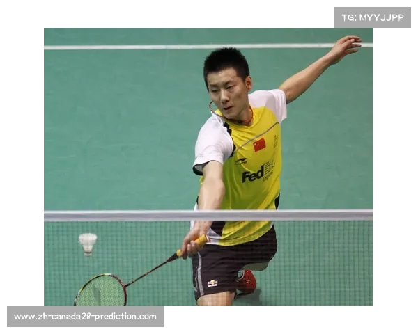 2008年北京奥运会羽毛球男子单打金牌获得者陈金的辉煌历程与背后故事